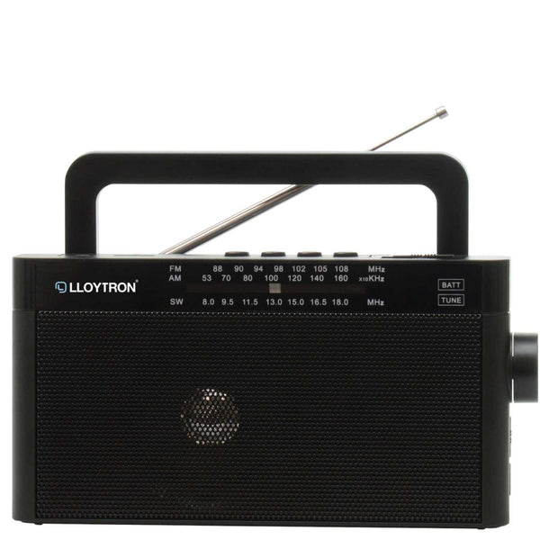 Rhapsody Portable Radio with Bluetooth