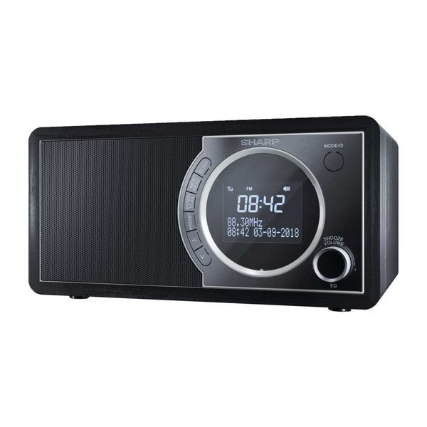 Mono Digital Radio Black