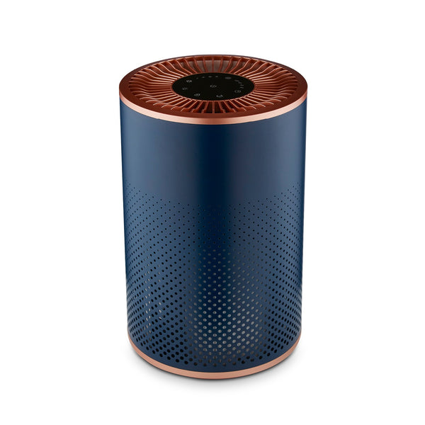 Desktop Air Purifier Blue and Roses Gold